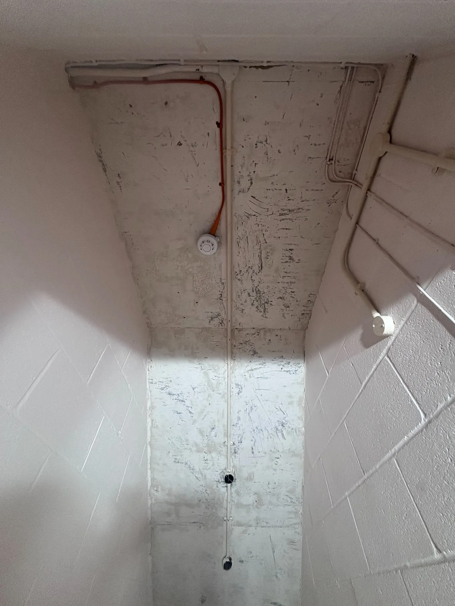 Licensed asbestos gasket removal in a Holland Park commercial property